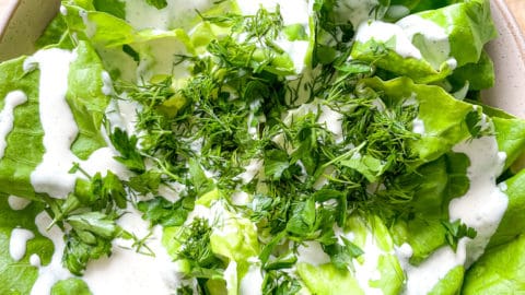creamed lettuce dressing recipe Creamy Lettuce Salad